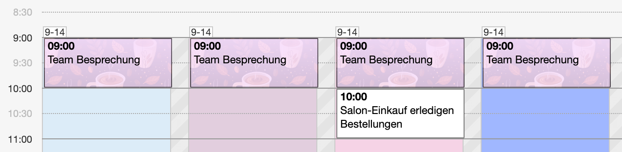 Calendar view with team meetings (9-14 o'clock) and salon shopping to do (10-11 o'clock) as different colored appointment types